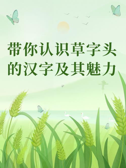 草字頭有什么字