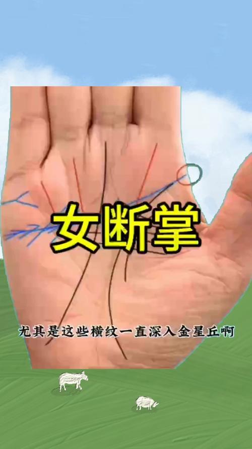 女人斷掌紋的命運(yùn)