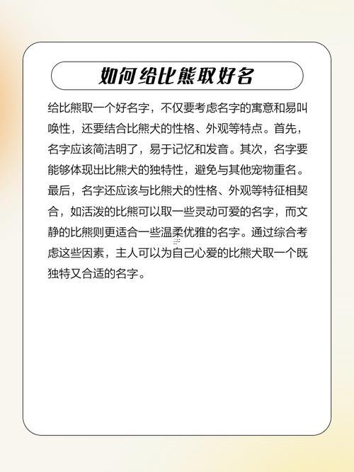 比熊招財(cái)名字起名字大全