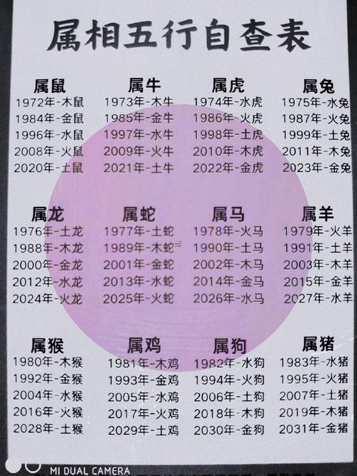 屬豬的跟著何事屬相最好