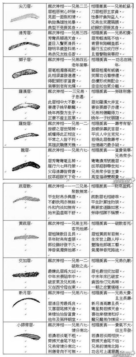 眉毛圖解大全