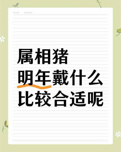 95年是何事命