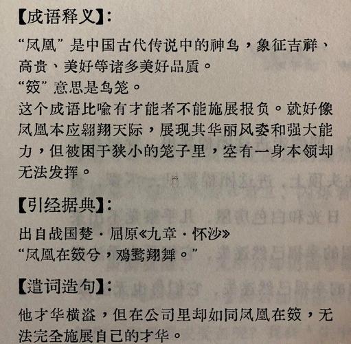 笞啥意思