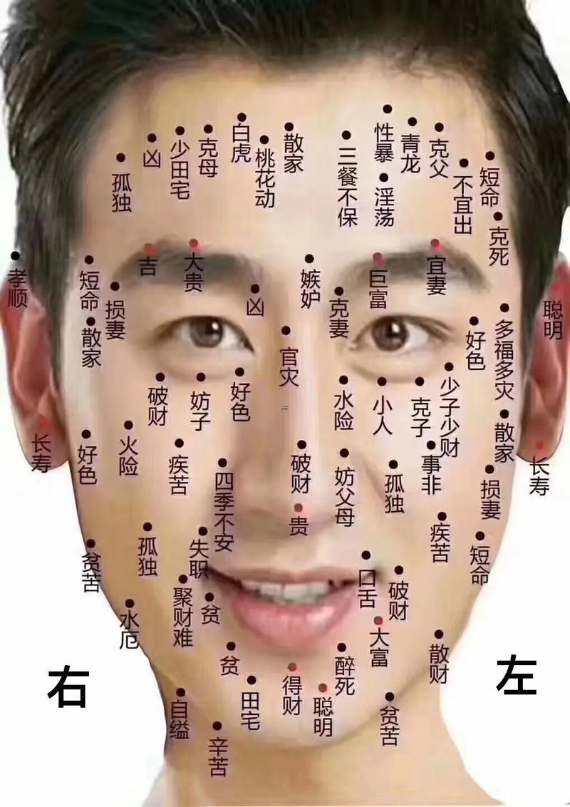 福痣的位置圖