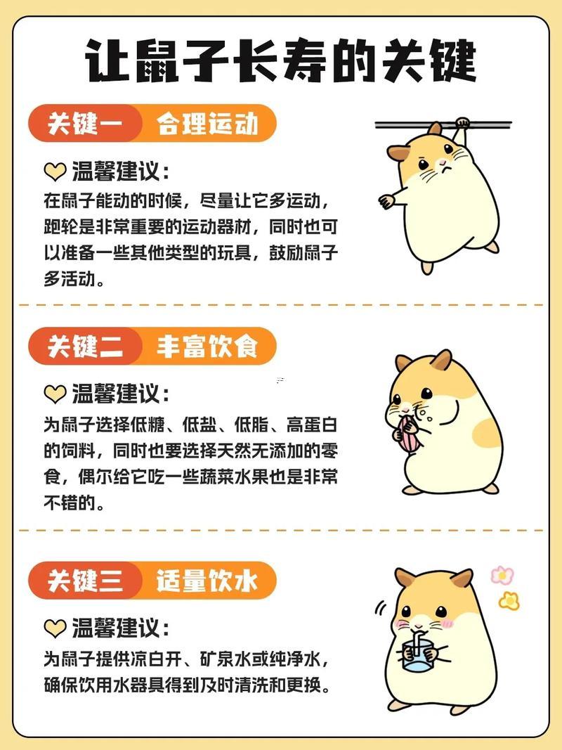 老鼠壽命多少年