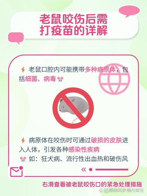 夢見老鼠死了