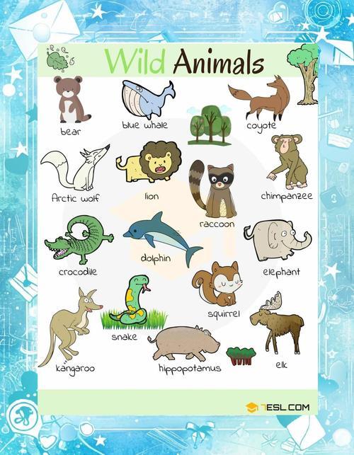 動物名稱大全500種