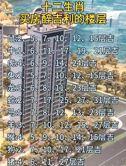 屬狗的人適合住多少樓層