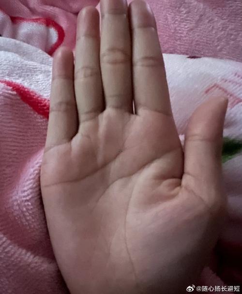 智慧線狠長