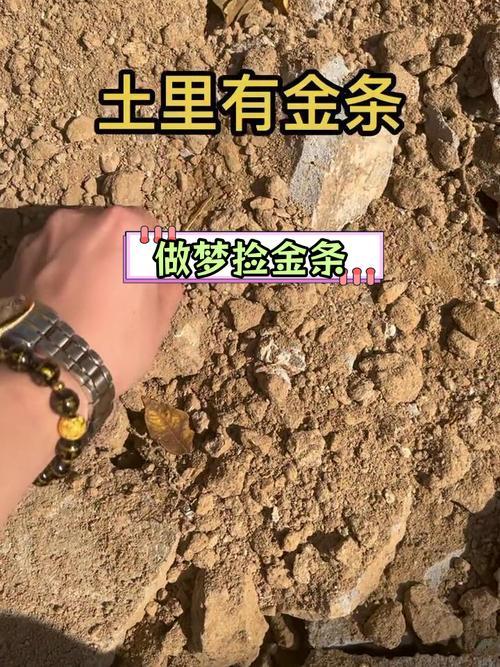 夢到撿到黃金