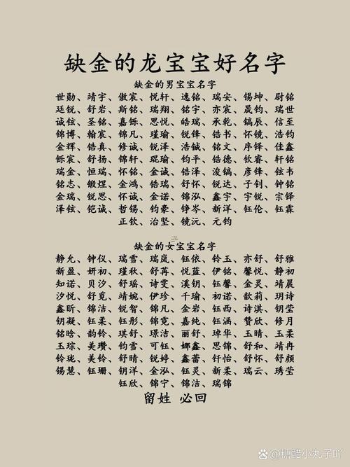 帶金字的男孩名字