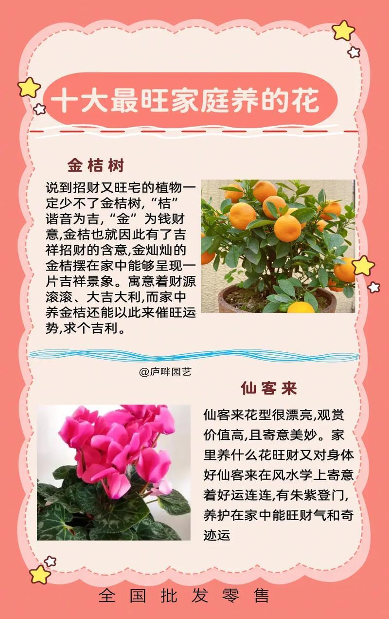 招財樹開花的含義