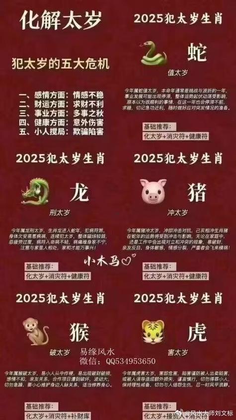 本命年犯太歲何事東西意思