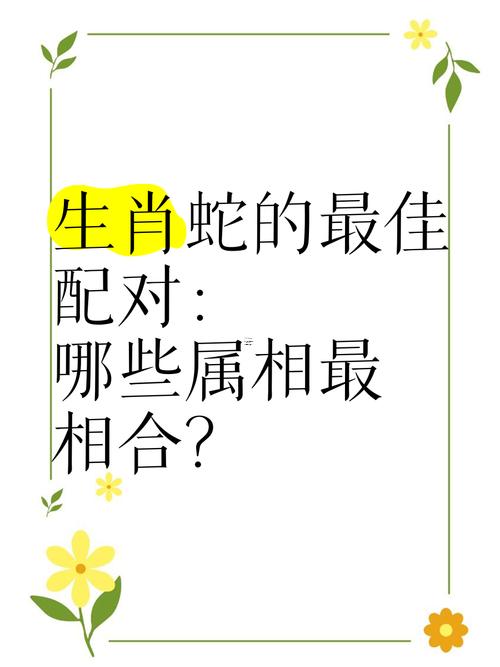 屬蛇同屬什么東西東西的相配最好