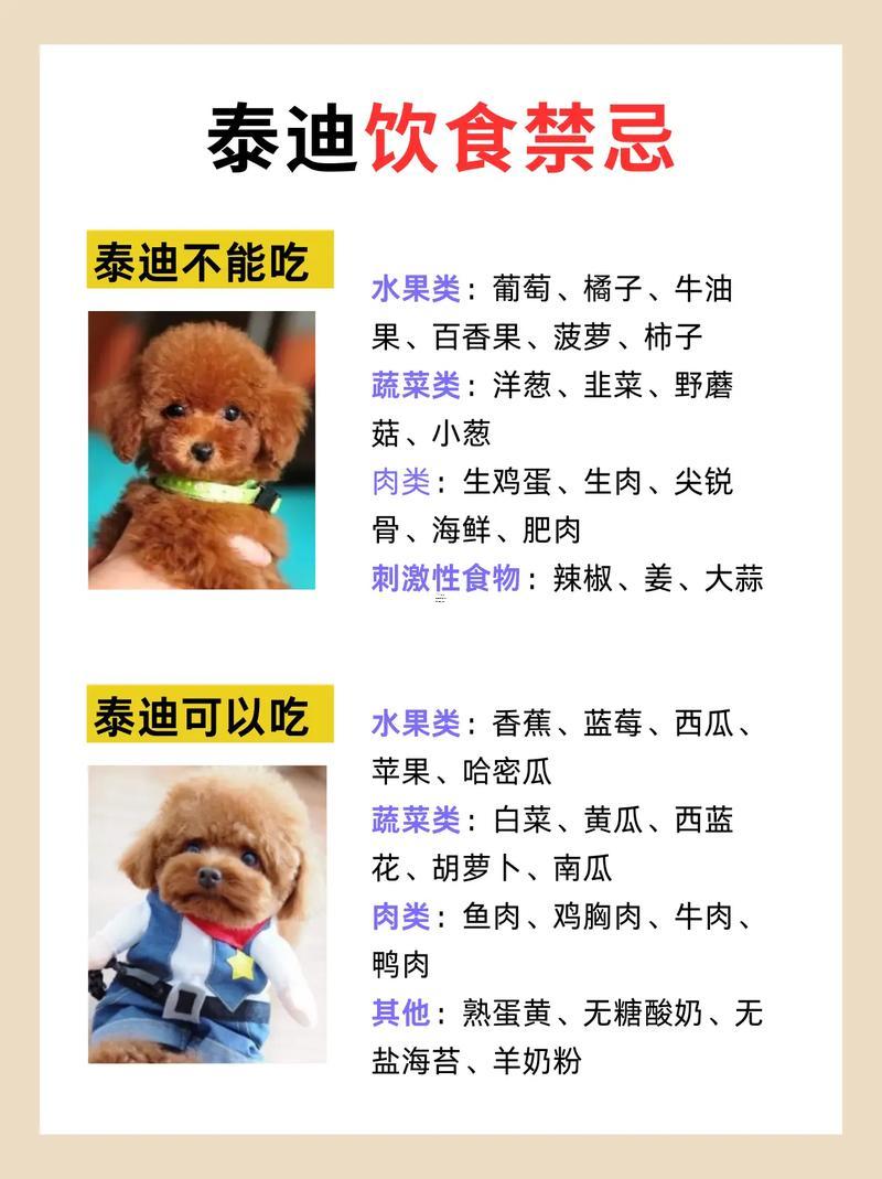 小狗名字精選好聽又個性