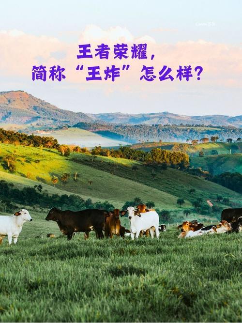 王姓起名
