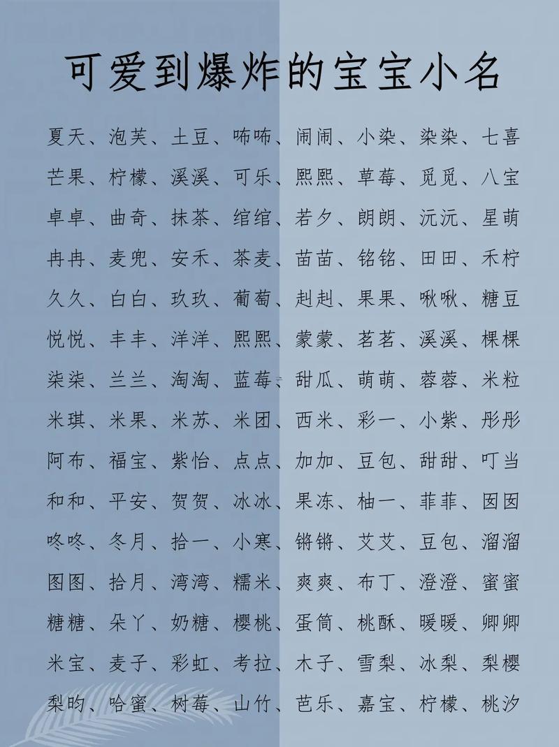 雙胞胎小名