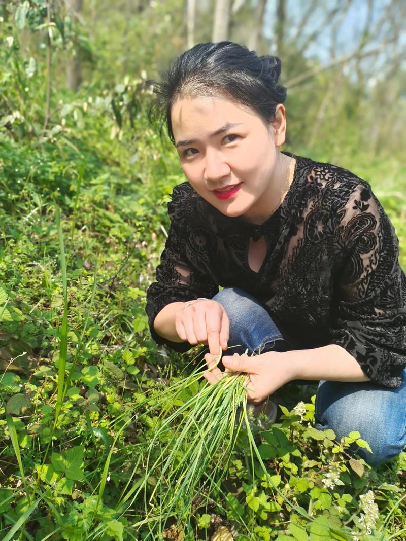夢見拔蔥