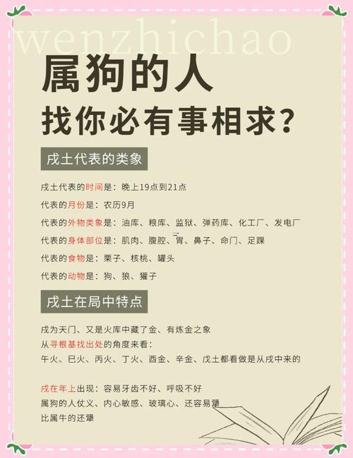 屬狗婚配