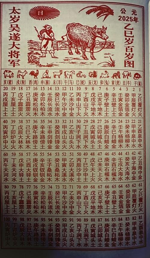 今年是啥年啊十二生肖2025