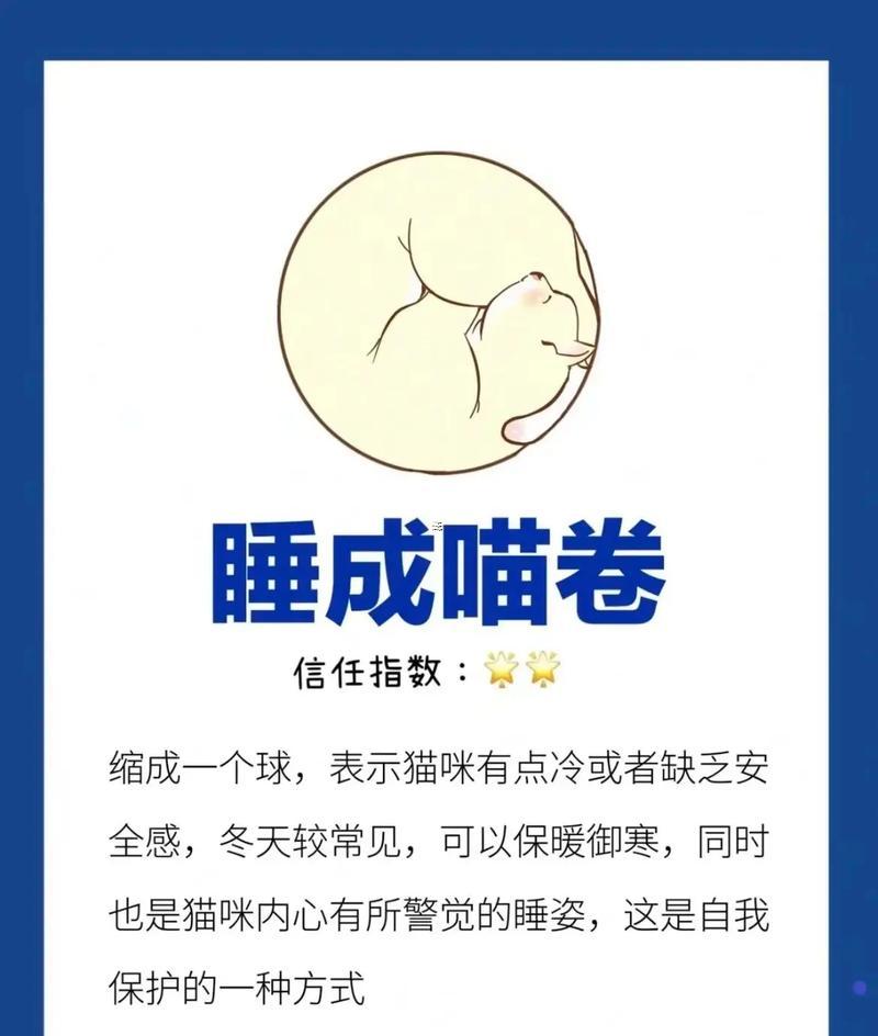 白天睡覺夢到貓什么東西東西意思