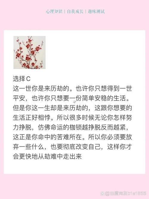 抽簽抽到橄欖命