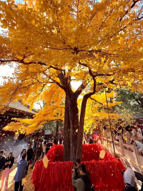 紅螺寺姻緣福袋里面是啥