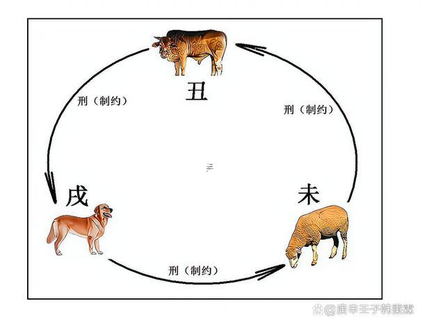 弱肉強食是什么生肖