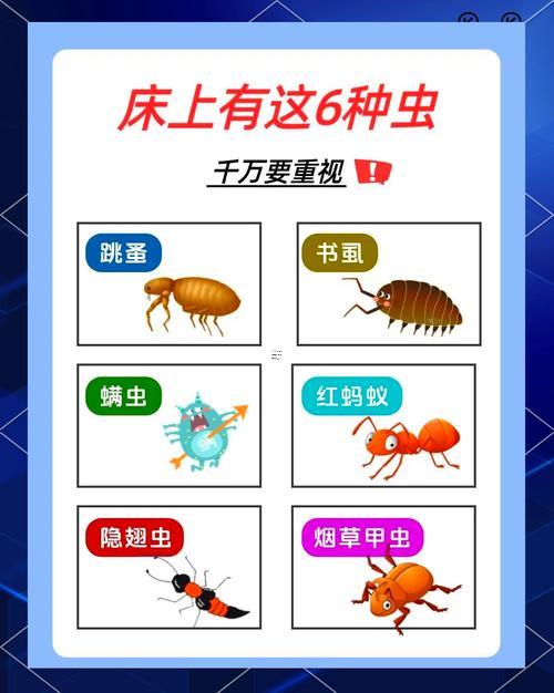 夢(mèng)到很多蟲子