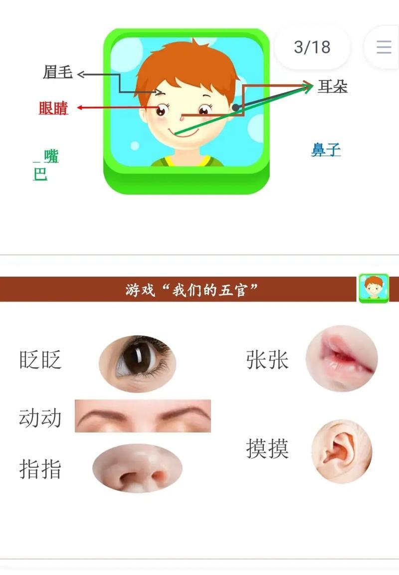 人的五官是指哪五官
