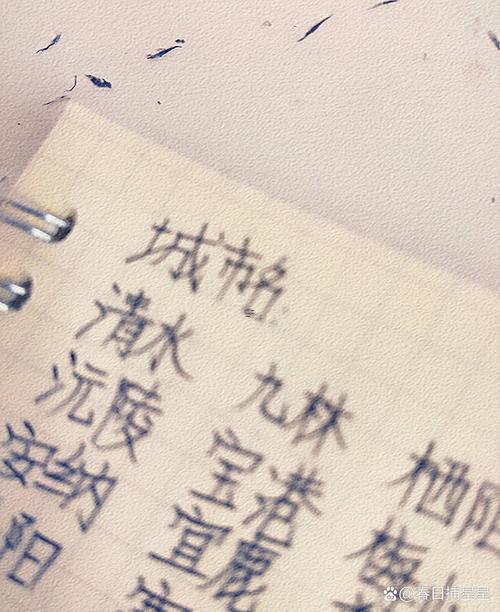 帶諾字的女孩名字