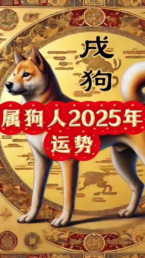 屬狗今日運勢還有運程每月運程