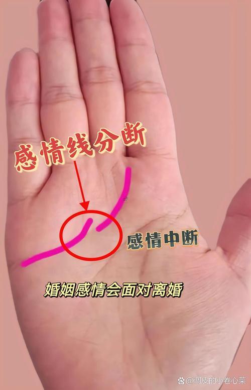 手相看出你有幾段感情