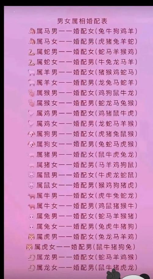 男龍女兔