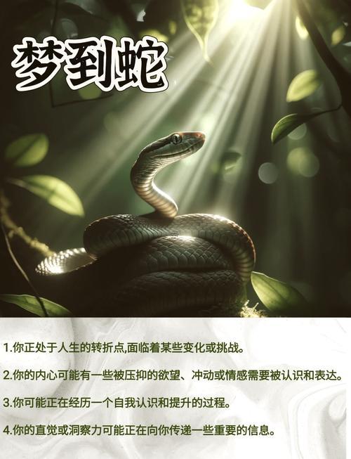女人夢見蛇在床邊預(yù)示著什么
