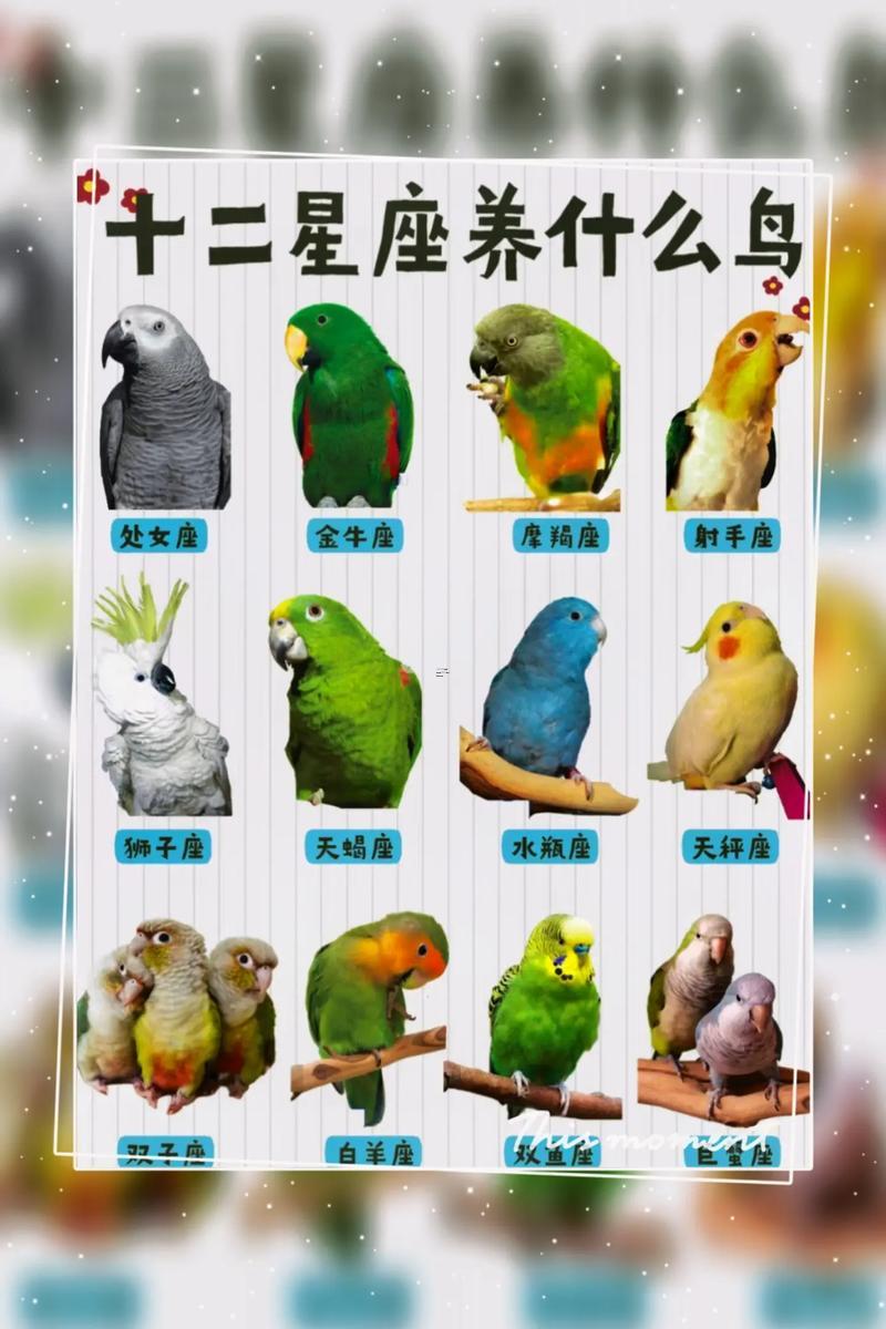 好聽的寵物名字