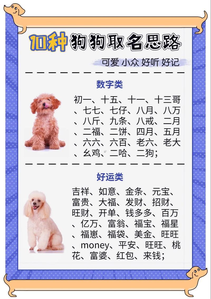 屬狗得忌取什么名字