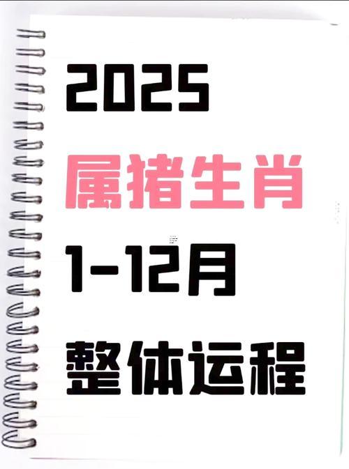 83年豬40歲后十年大運運程