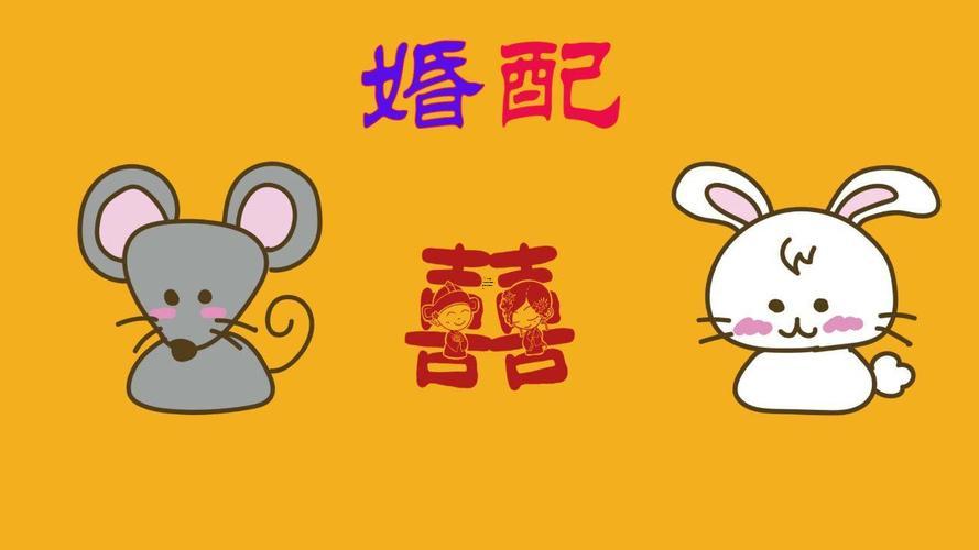 屬相老鼠跟兔子再共同有財運嗎