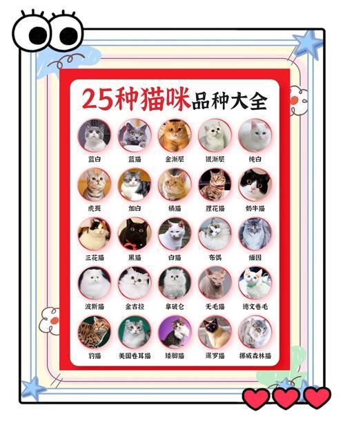 寵物貓名字