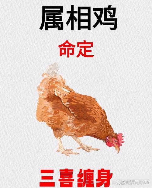 2025年8月開店吉日一覽表
