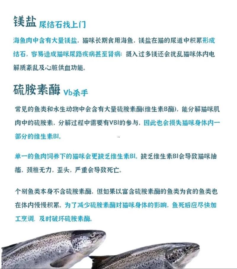 夢到吃魚