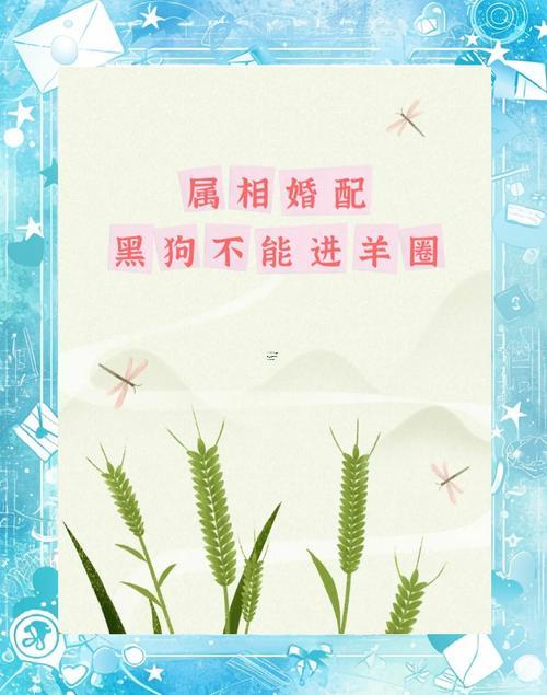 生肖羊配何事東西生肖最好