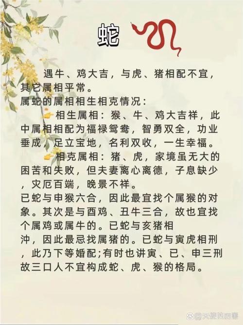虎與狗屬相合不合