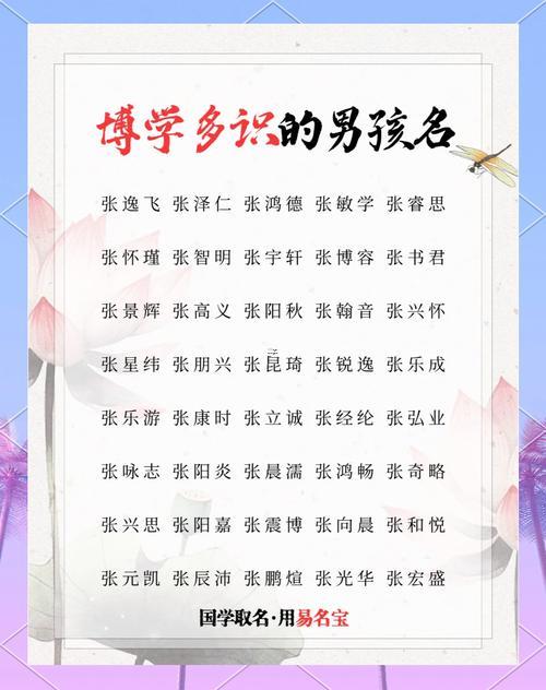 孫姓男孩名字大全