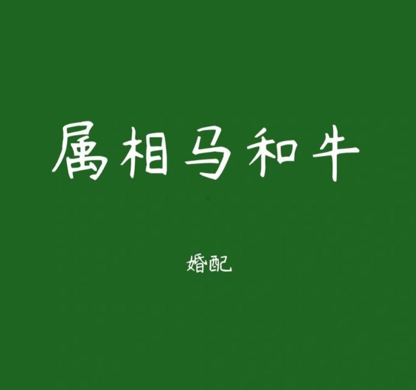屬牛男合屬馬女相配嗎