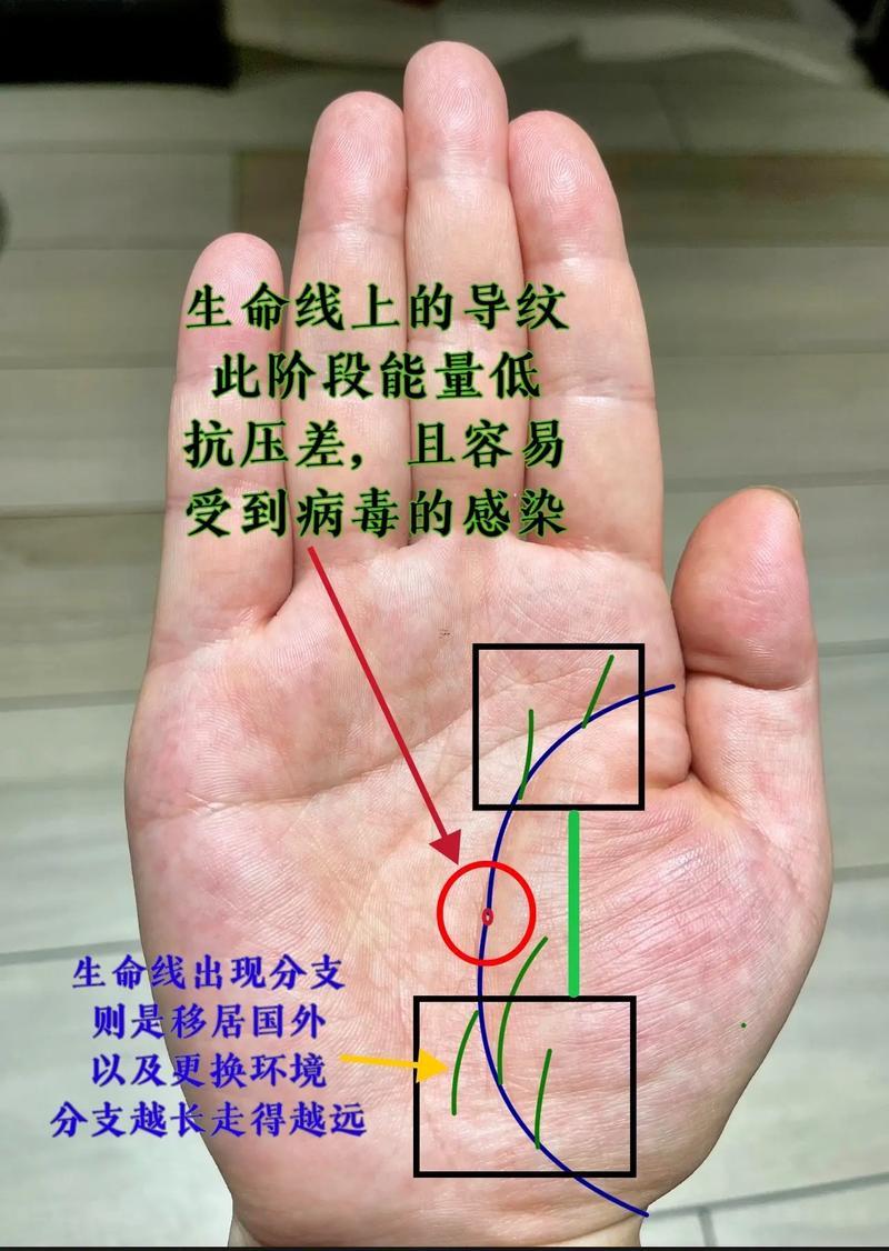 生命線短代表什么