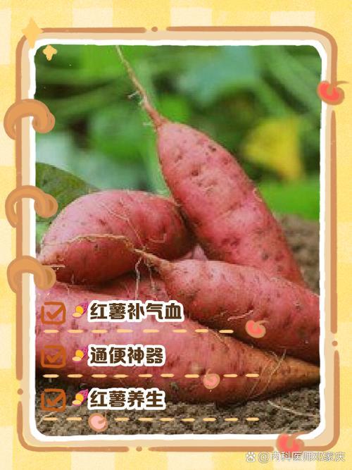 夢見吃紅薯