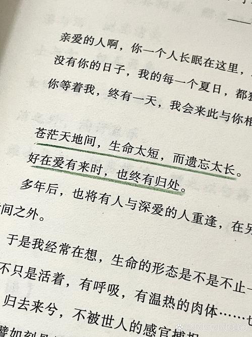 好聽(tīng)得書(shū)名