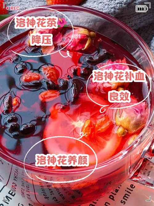 洛神花的功效與作用